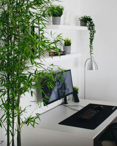Zen Websoft office